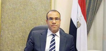 بدر عبد العاطى سفير مصر لدى المانيا