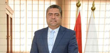 الدكتور حسام الجمل رئيس مركز المعلومات ودعم اتخاذ القرار بمجلس الوزراء