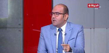 الدكتور مصطفى أبوزيد مدير مركز مصر للدراسات الاقتصادية