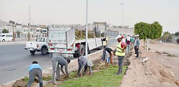 عمال خلال زراعة الأشجار والنباتات بالحدائق