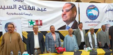 لقاءات دعم المرشح الرئاسي عبد الفتاح السيسي بالفيوم