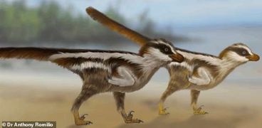 في حجم عصفور.. اكتشاف آثار أقدام لأصغر ديناصور في العالم