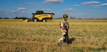 تصدير الحبوب الأوكرانية