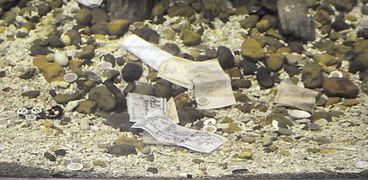 عملات معدنية وورقية فى أحواض السمك داخل متحف الأحياء المائية