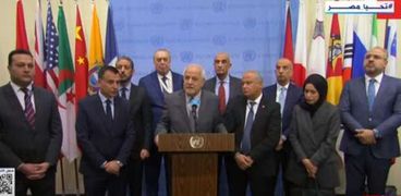 كلمة للمجموعة العربية عقب جلسة مجلس الأمن