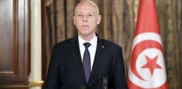 رئيس الحكومة الجديد في تونس.. من هو أحمد الحشاني؟- تعبيرية