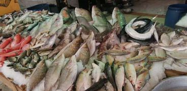 الأسماك في سوق الأنصاري بالسويس