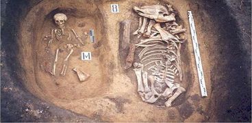 العثور على مدفن بدوي تركي قديم مع حصان في جبال ألتاي الروسية