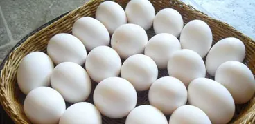 البيض الأبيض في الأسواق