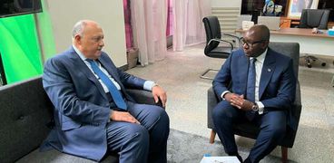 وزير الخارجية سامح شكري ورئيس وزراء الكونغو الديمقراطية