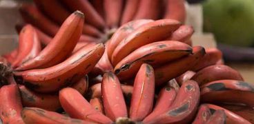 الموز الأحمر - أرشيفية