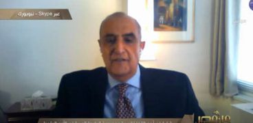 السفير ماجد عبد الفتاح، مبعوث الجامعة العربية في الأمم المتحدة