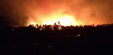 حريق قرية الراشدة بالوادي الجديد