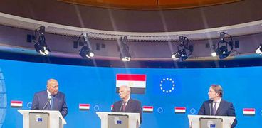 «شكري» خلال المؤتمر الصحفي على هامش أعمال الاجتماع العاشر لمجلس المشاركة بين مصر والاتحاد الأوروبي
