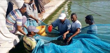 بالصور| إطلاق الذريعة السمكية ببحيرة ناصر بحضور رؤساء جمعيات الصيد