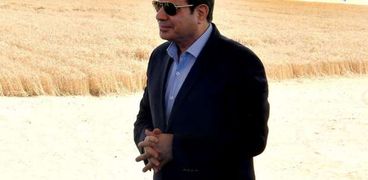 الرئيس عبدالفتاح السيسي خلال حصاد القمح بمشروع "مستقبل مصر"