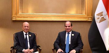 الرئيس السيسي ورئيس مجلس القيادة الرئاسي اليمني