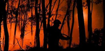 حرائق الغابات في المغرب