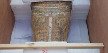 توابيت خبيئة العساسيف تصل المتحف المصري الكبير