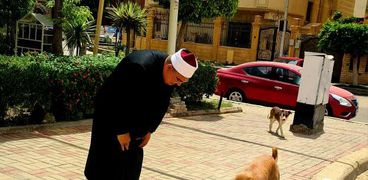 إمام مسجد يطعم مجموعة من الكلاب الضالة
