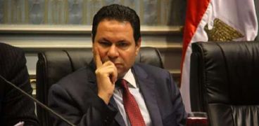 هشام الحصري رئيس لجنة الزراعة بمجلس النواب