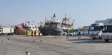 مراكب الشنشولا داخل ميناء الصيد البحري بطور سيناء
