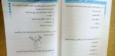 امتحان اللغة العربية بطريقة البابل شيت