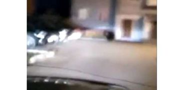 مطاردة دب دخل أحد الأحياء السكنية في مدينة روسية