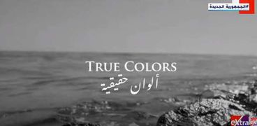 الفيلم التسجيلي "ألوان حقيقية"