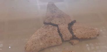 قطعة خبز بالمتحف المصري