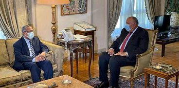 وزير الخارجية يبحث مع رئيس شورى اليمن مستجدات الأزمة اليمنية