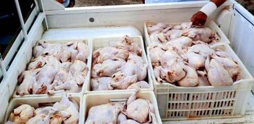 بيطري الشرقية يضبط 4 طن دجاج وكبده غير صالحة للإستهلاك الآدمي