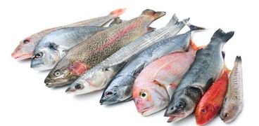 7 فوائد للأسماك الدهنية