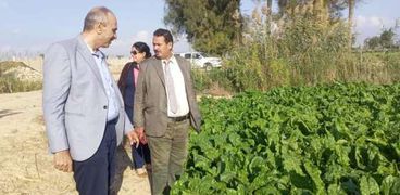 محمد يوسف رئيس الإدارة المركزية للإرشاد الزراعي