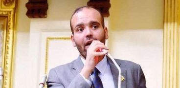 كريم طلعت السادات عضو مجلس النواب