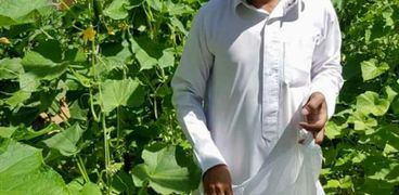 احمد صالح يجمع النباتات والأعشاب الطبيعية