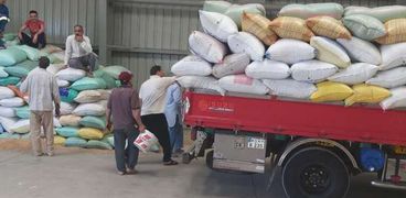 استمرار عمليات توريد القمح في كفر الشيخ