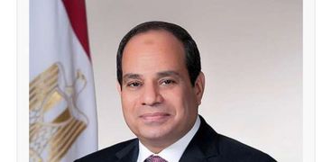 المرشح الرئاسي السيد عبد الفتاح السيسي