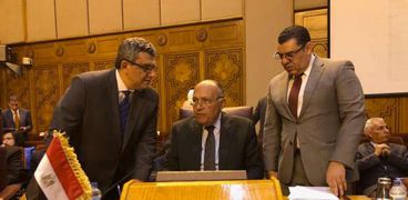الاجتماع يأتي بطلب مصر لمواجهة التدخلات الخارجية - ارشيفية