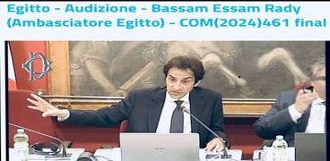 بسام راضي سفير مصر في إيطاليا