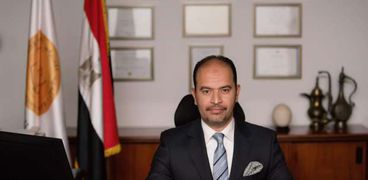 عبد العزيز نصير، المدير التنفيذي للمعهد المصرفي المصري (EBI)