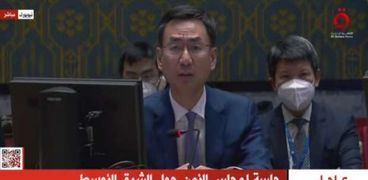مندوب الصين بجلسة مجلس الأمن
