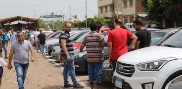 إقبال كبير على سوق السيارات في المنوفية