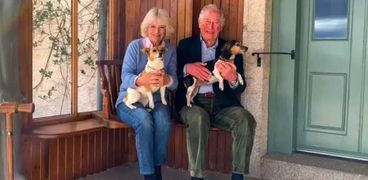 الملك تشارلز والملكة كاميلا يحملان الكلبين من فصيلة «جاك راسل»