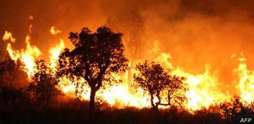 ضحايا حرائق غابات الجزائر قدموا نموذجا للتضحية