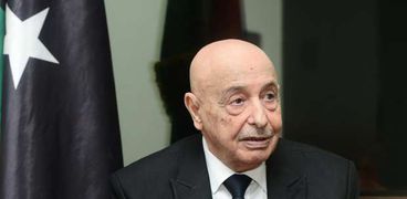 رئيس مجلس النواب الليبي المستشار عقيلة صالح