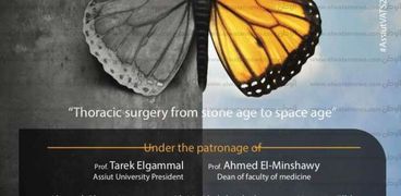 جامعة أسيوط تنظم ورشة عمل لمنظار الصدر بحضور جراحين أجانب  فبراير المقبل
