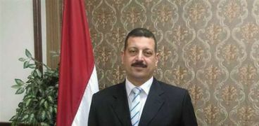 أيمن حمزة، المتحدث الرسمي باسم وزارة الكهرباء