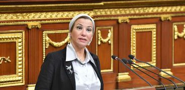 ياسمين فؤاد وزيرة البيئة بالبرلمان