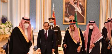 السعودية: أمن مصر المائي جزء من الأمن العربي وعلى إثيوبيا التخلي عن سياستها الأحادية